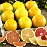 Koja je razlika između grejpa i narandže